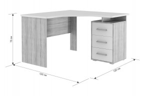ЛАЙТ К4 Компьютерный стол в Асбесте - asbest.mebel24.online | фото 6
