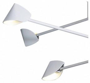 Люстра на штанге Mantra Capuccina 7570 в Асбесте - asbest.mebel24.online | фото 4