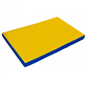 Мат гимнастический 2х1х0,05м цв. синий-желтый в Асбесте - asbest.mebel24.online | фото