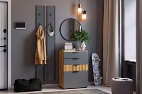 МЕБЕЛЬСОН К21 Прихожая  (графит) в Асбесте - asbest.mebel24.online | фото