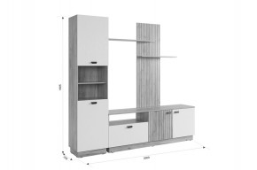 МОДИ К1 Гостиная (белое дерево) в Асбесте - asbest.mebel24.online | фото 2