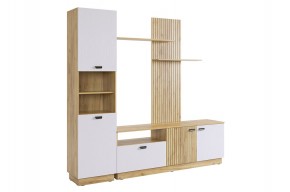 МОДИ К1 Гостиная (белое дерево) в Асбесте - asbest.mebel24.online | фото 6