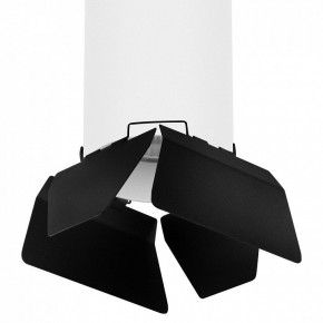 Накладной светильник Lightstar Rullo R6496487 в Асбесте - asbest.mebel24.online | фото 2