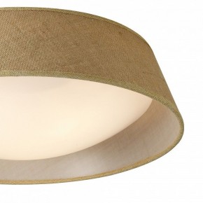 Накладной светильник Mantra Sabina 6413 в Асбесте - asbest.mebel24.online | фото 3