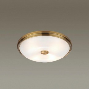 Накладной светильник Odeon Light Pelow 4956/4 в Асбесте - asbest.mebel24.online | фото 2