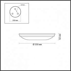 Накладной светильник Odeon Light Pelow 4956/4 в Асбесте - asbest.mebel24.online | фото 3