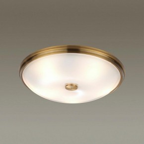 Накладной светильник Odeon Light Pelow 4956/5 в Асбесте - asbest.mebel24.online | фото 2