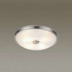 Накладной светильник Odeon Light Pelow 4957/4 в Асбесте - asbest.mebel24.online | фото 2