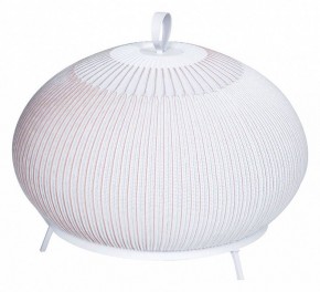 Настольная лампа декоративная Divinare Firefly 1808/33 TL-50 в Асбесте - asbest.mebel24.online | фото