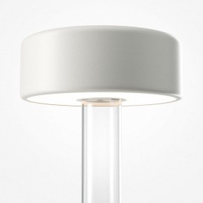 Настольная лампа декоративная Maytoni AI Collaboration MOD229TL-L3W3K1 в Асбесте - asbest.mebel24.online | фото 3