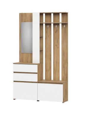 НЕКСТ 1 Вешалка с зеркалом + Шкаф 2-х ств. с ящиками в Асбесте - asbest.mebel24.online | фото 4