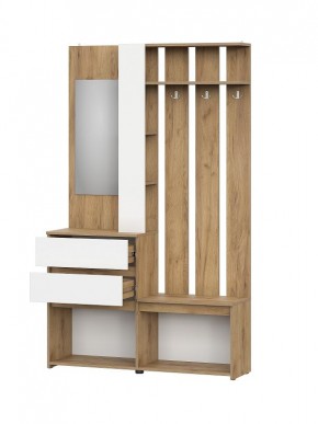 НЕКСТ 1 Вешалка с зеркалом + Шкаф 2-х ств. с ящиками в Асбесте - asbest.mebel24.online | фото 5