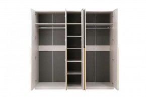НИКОЛЬ 25 Шкаф 5-ти створчатый в Асбесте - asbest.mebel24.online | фото 3