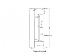 ОЛЬГА-ЛОФТ 9.2 Шкаф угловой с зеркалом в Асбесте - asbest.mebel24.online | фото 3