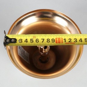 Подвесная люстра Aployt Alessio APL.858.03.31 в Асбесте - asbest.mebel24.online | фото 8