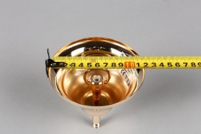 Подвесная люстра Aployt Daniele APL.701.03.12 в Асбесте - asbest.mebel24.online | фото 6