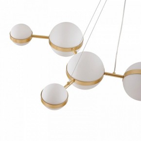 Подвесная люстра Favourite Asterismo 4448-8P в Асбесте - asbest.mebel24.online | фото 7