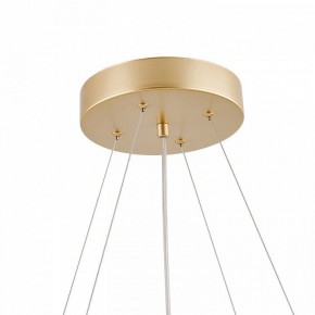 Подвесная люстра Favourite Asterismo 4448-8P в Асбесте - asbest.mebel24.online | фото 8