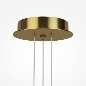 Подвесная люстра Maytoni Arana MOD401PL-L108BS3K в Асбесте - asbest.mebel24.online | фото 7