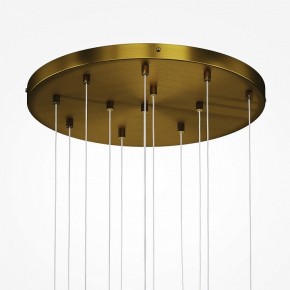 Подвесная люстра Maytoni Frozen MOD254PL-12BS в Асбесте - asbest.mebel24.online | фото 4