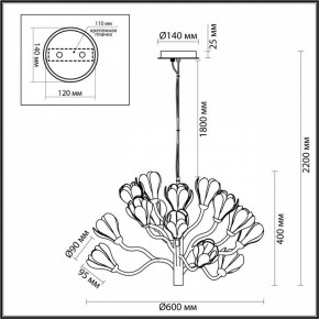 Подвесная люстра Odeon Light Gardi 5090/15 в Асбесте - asbest.mebel24.online | фото 6