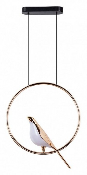 Подвесной светильник Divinare Summer 1188/01 SP-9 в Асбесте - asbest.mebel24.online | фото 2