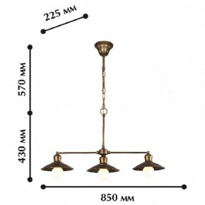 Подвесной светильник Favourite Magrib 1214-3P1 в Асбесте - asbest.mebel24.online | фото 2