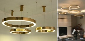 Подвесной светильник Imperiumloft Light Ring Horizontal 40.1454-120 в Асбесте - asbest.mebel24.online | фото 2