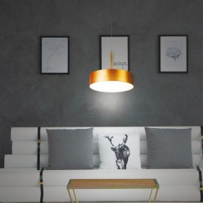 Подвесной светильник Novotech Prometa 358766 в Асбесте - asbest.mebel24.online | фото 4