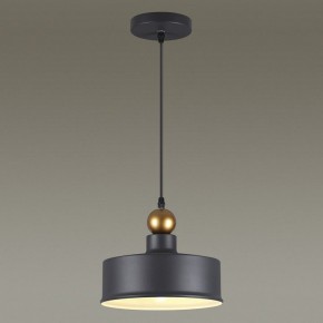 Подвесной светильник Odeon Light Bolli 4088/1 в Асбесте - asbest.mebel24.online | фото 4