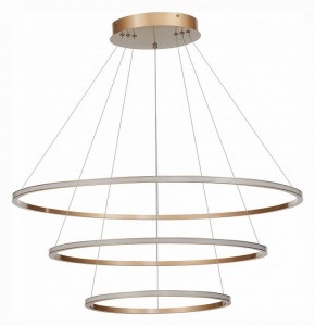 Подвесной светильник ST-Luce ST604 OUT ST604.243.114 в Асбесте - asbest.mebel24.online | фото 2