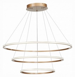 Подвесной светильник ST-Luce ST604 OUT ST604.243.114 в Асбесте - asbest.mebel24.online | фото 3