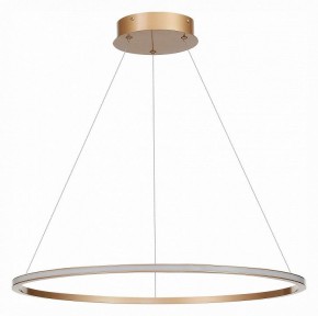 Подвесной светильник ST-Luce ST604 OUT ST604.243.34 в Асбесте - asbest.mebel24.online | фото 2