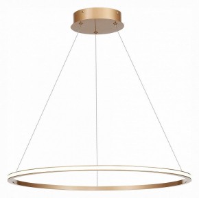 Подвесной светильник ST-Luce ST604 OUT ST604.243.34 в Асбесте - asbest.mebel24.online | фото 3