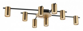 Потолочная люстра Favourite Topper 2827-8P в Асбесте - asbest.mebel24.online | фото 2