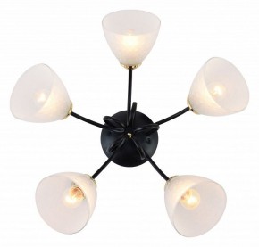 Потолочная люстра Rivoli Luiza Б0054904 в Асбесте - asbest.mebel24.online | фото 2
