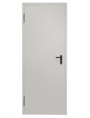 Противопожарная дверь Промет ДП 1 EIS-60 (Одностворчатая) Cветло-серый в Асбесте - asbest.mebel24.online | фото