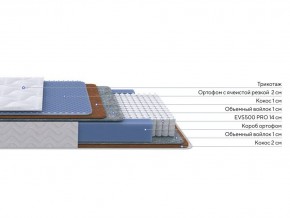 PROxSON Матрас Active Duo M/F (Ткань Трикотаж Эко) 200x190 в Асбесте - asbest.mebel24.online | фото 1