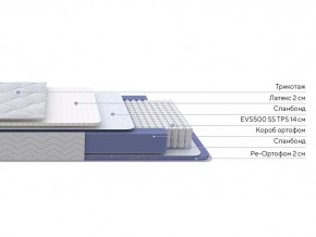PROxSON Матрас Active Duo S/F (Ткань Трикотаж Эко) 160x190 в Асбесте - asbest.mebel24.online | фото 3