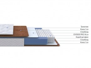 PROxSON Матрас Active F Roll (Ткань Трикотаж Эко) 120x200 в Асбесте - asbest.mebel24.online | фото 2