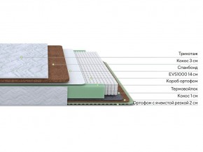 PROxSON Матрас Green Duo M/F (Tricotage Dream) 140x195 в Асбесте - asbest.mebel24.online | фото 2