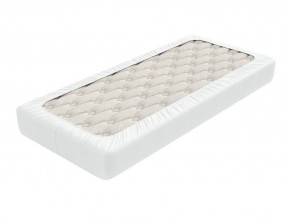 PROxSON Защитный чехол Aqua Save Light S (Ткань влагостойкая Tencel Jersey) 80x195 в Асбесте - asbest.mebel24.online | фото 2