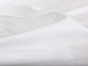 PROxSON Защитный чехол Aqua Save M (Ткань влагостойкая Terry Cloth) 180x190 в Асбесте - asbest.mebel24.online | фото 6