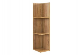 РИЧ Полка навесная 2 в Асбесте - asbest.mebel24.online | фото 4