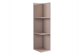 РИЧ Полка навесная 2 в Асбесте - asbest.mebel24.online | фото 5