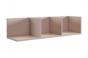 РИЧ Полка навесная 2 (кашемир) в Асбесте - asbest.mebel24.online | фото