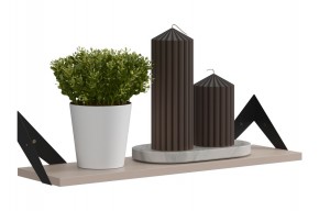 РИЧ Полка навесная в Асбесте - asbest.mebel24.online | фото 3