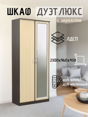 Шкаф 2-х створчатый Дуэт Люкс с зеркалом в Асбесте - asbest.mebel24.online | фото 1