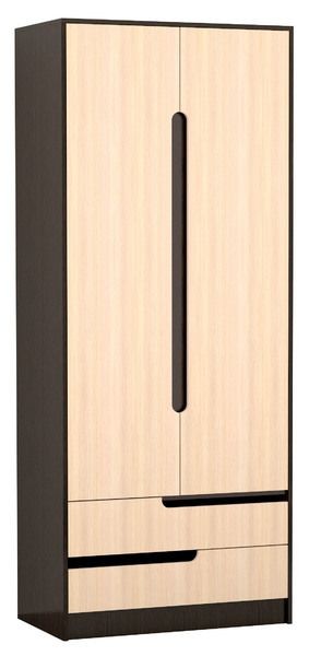Шкаф 2-х створчатый Гавана в Асбесте - asbest.mebel24.online | фото 1