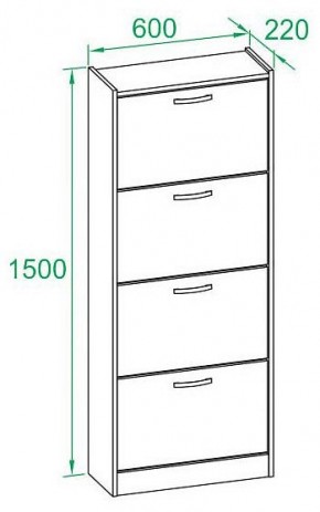 Шкаф для обуви ТО-24 в Асбесте - asbest.mebel24.online | фото 3